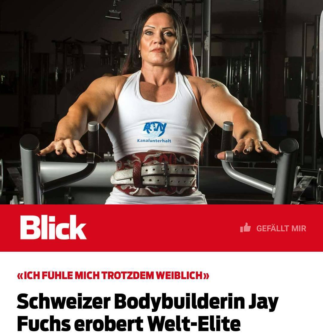 Medien